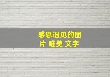 感恩遇见的图片 唯美 文字